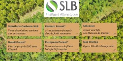Buletin informativ 2022 - SLB Group