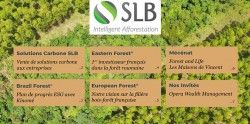 Newsletter 2022 - Groupe SLB