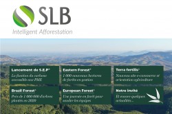 Newsletter 2021 - Groupe SLB