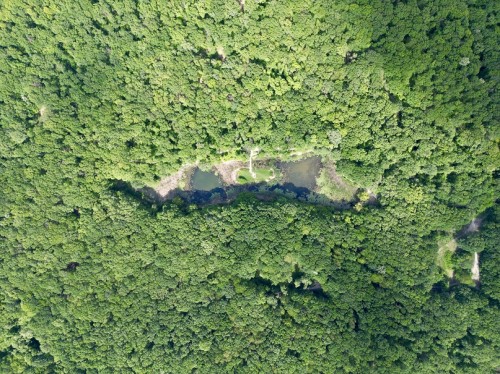 2025_Newsletter_SLB