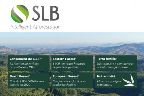 Newsletter 2021 - Groupe SLB
