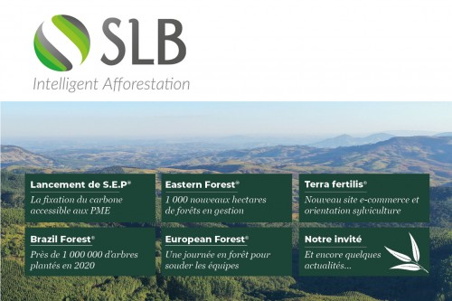 SLB Group 2021 Newsletter